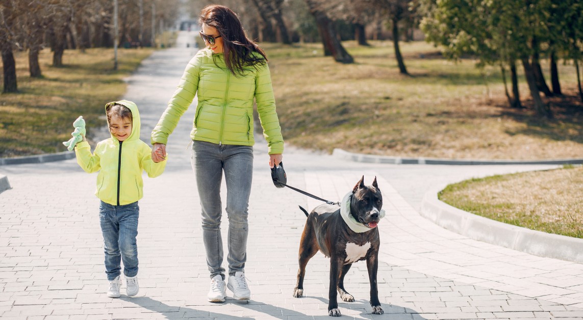 Leash Laws, Parks, and Outdoor Etiquette in Spring